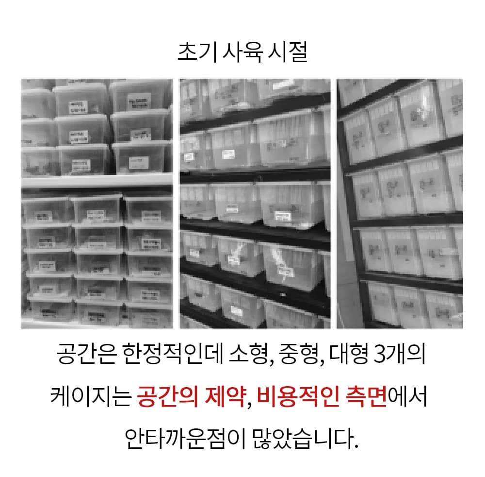 레파즈 게코케이지 소 투명