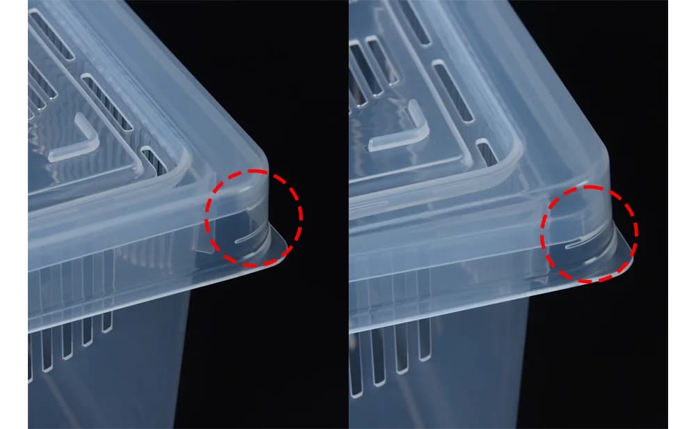 레파즈 게코케이지 대 블랙