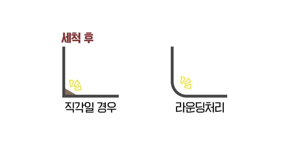 레파즈 게코케이지 소 투명