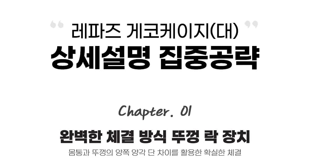 레파즈 게코케이지 대 블랙