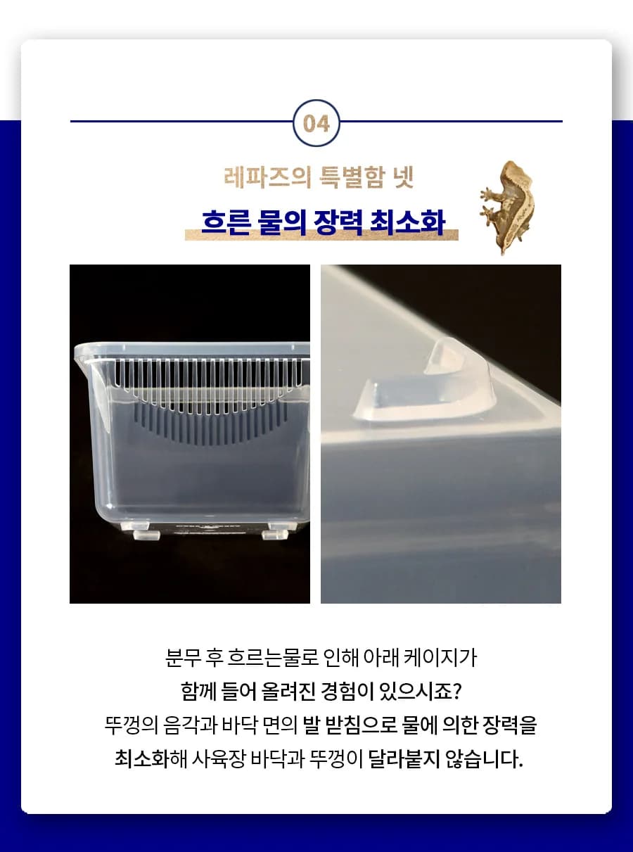레파즈 게코케이지 소 투명