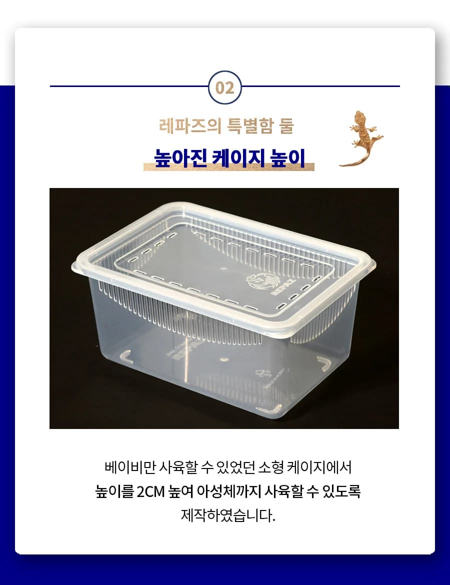 레파즈 게코케이지 소 투명