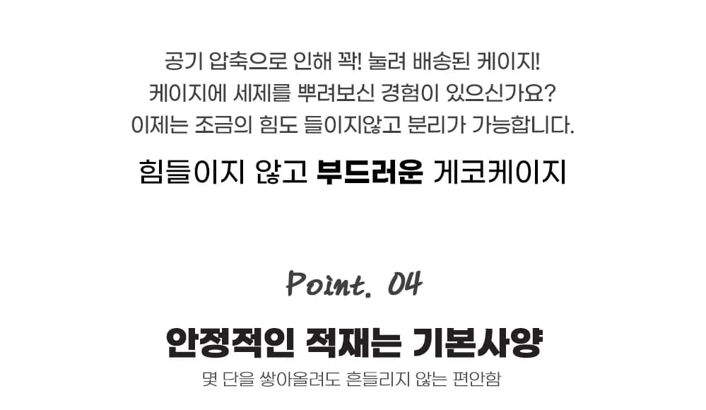 레파즈 게코케이지 중 투명