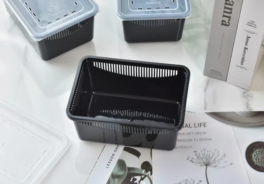 레파즈 게코케이지 소 블랙