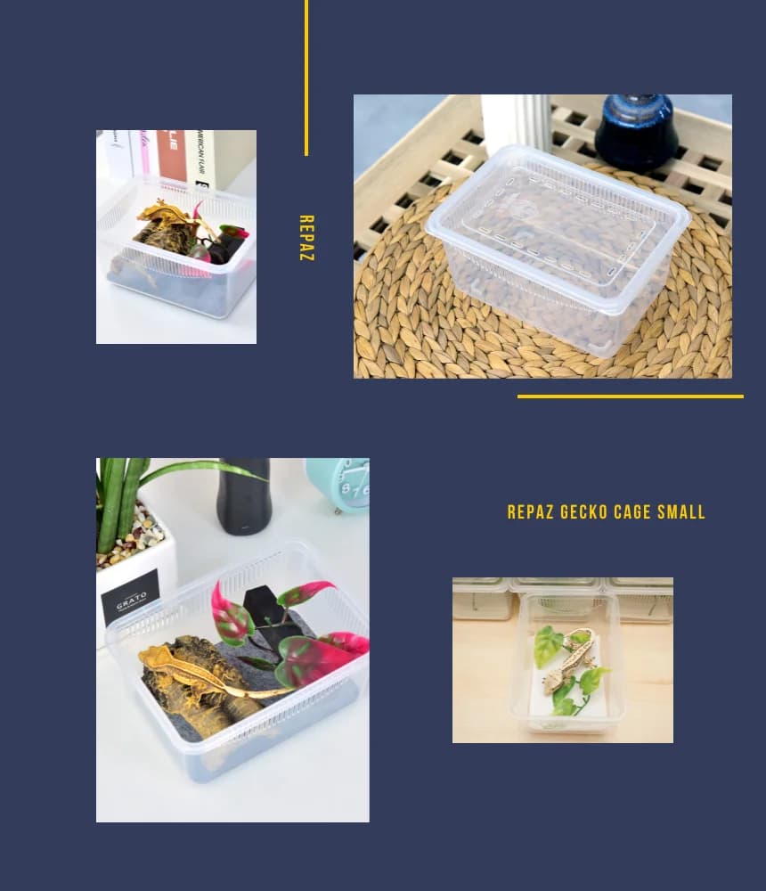 레파즈 게코케이지 소 투명