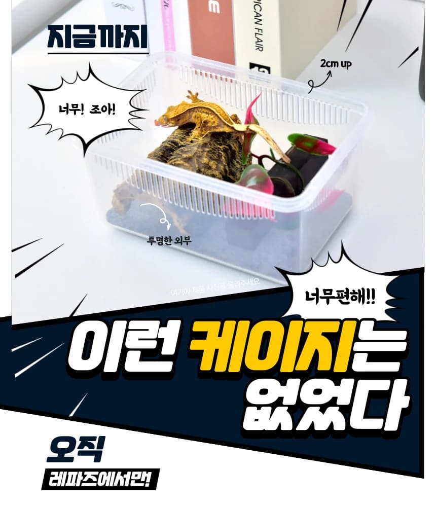 레파즈 게코케이지 소 투명