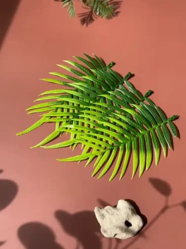 레파즈 미니 인조 잎 아레카야자(1봉지 25개입)