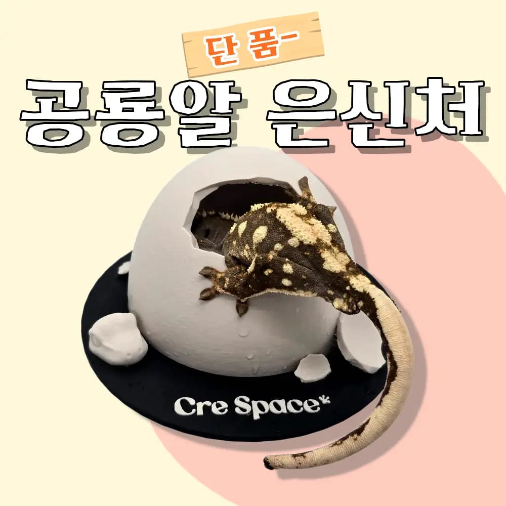 단품-공룡알 은신처 (중)