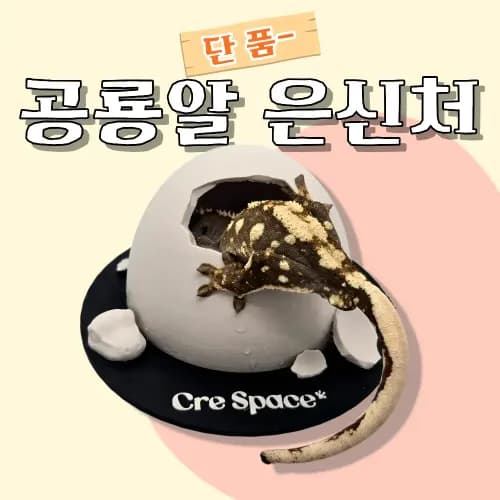 단품-공룡알 은신처 (중)