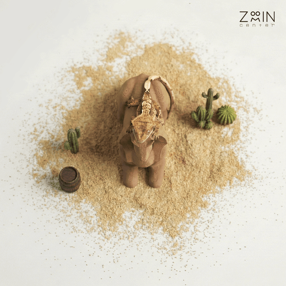 잊혀진문명:이집트 - 스핑크스