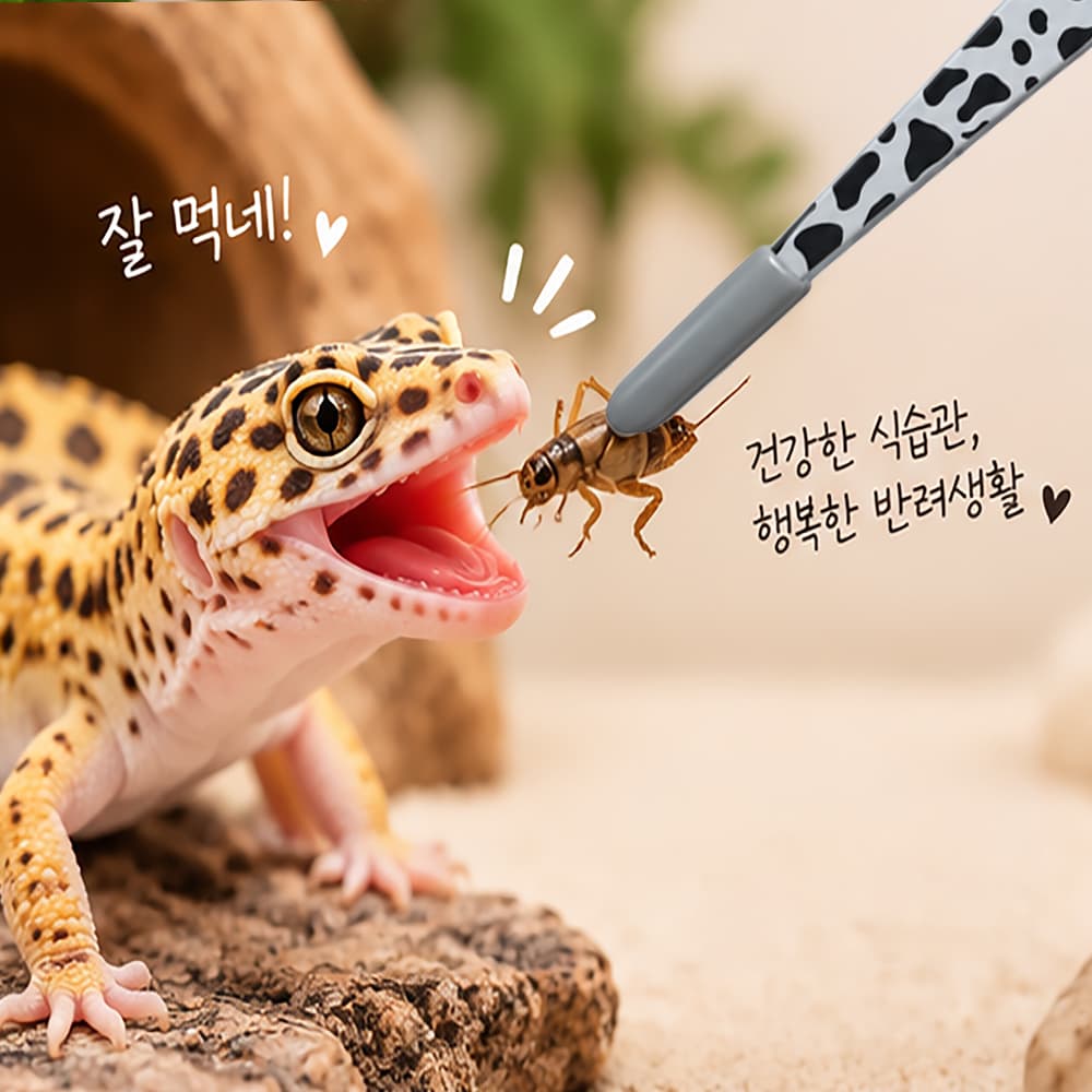 크라크라 피딩 핀셋 6종 20cm